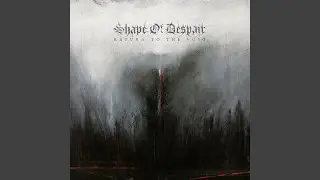 Dissolution