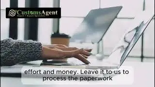 The Customs Agent