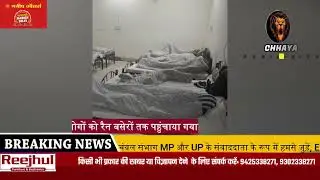 Breaking news Gwalior Madhya Pradesh l producer by chhayapublicitynews sir please share the video 