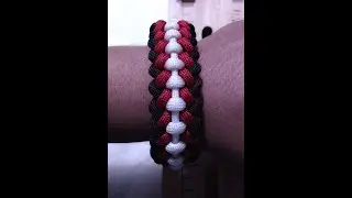 Backbone paracord brecelet