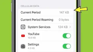 iPhone 14 How to View Cellular Data Usage