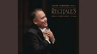 Besos Robados