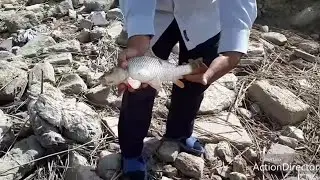 Lökbatan gölündə balıq ovu #5 (bir dənə sazan)