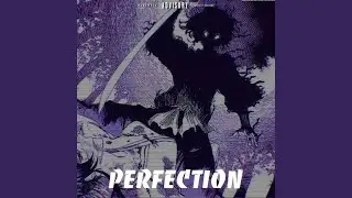 PERFECTION