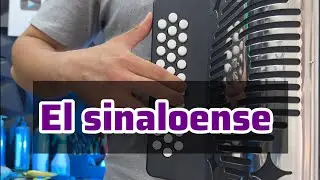 El sinaloense acordeón tutorial 🍅 