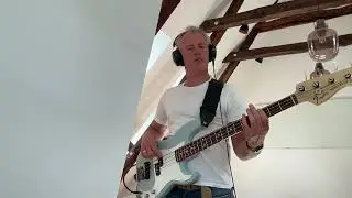 Maxi Priest - Wild World - Bass Cover