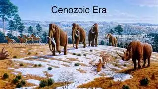 Cenozoic Era Animals Size Comparison without music