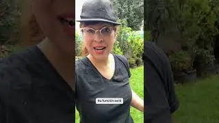 🐜❌ Elimina F&Aacute;CIL las hormigas de tus plantas