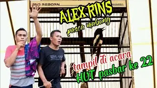 AKSI KACER ALEX RINS PASCA MABUNG DI HUT PASBAR KE 22 