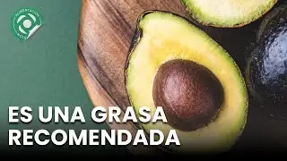 Beneficios para la Salud del Consumo de Aguacate | Dr Benjam&iacute;n Ram&iacute;rez PhD