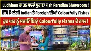 Ludhiana ਦਾ ਇਹ 35 ਸਾਲਾਂ ਪੁਰਾਣਾ Fish Paradise Showroom ! ਜਿੱਥੇ ਤੁਹਾਨੂੰ ਮਿਲੇਗੀ Indian ਅਤੇ Foreign ਦੀਆਂ