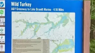 Wild Turkey Trail - NC
