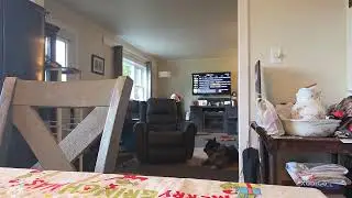 Chris Denman Live Stream