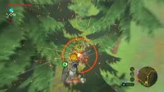 Botw In A Nutshell (again)