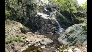 Les Alb&egrave;res
