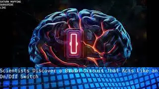 Saturn Mapping Info Presents: Scientists Discover a Brain Circuit That Acts Like an On or Off Switch