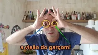 Curso de Garçom - A Visão do garçom - Denis de Moraes