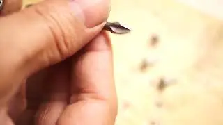 ZHIDA Torsion impact bits Phillips PH2 Screwdriver bit