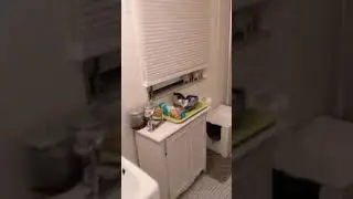 Huron Village Flat Tour