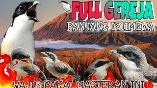 MASTERAN CENDET FULL TEMBAKAN PANJANG 🔴 materi gereja super panjang wajib pakai masteran ini