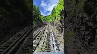 Best nature Swiss video #travel #nature #tour #explore #mountains #trending #beautiful #swizerland