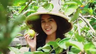 AGROWISATA JAMBU MARINA BATAM | Amazing Batam