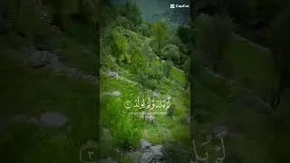 #education #quranteaching #religiousteaching #youtubeshorts