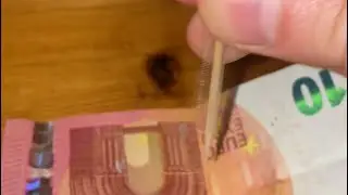 Magic trick challenge : toothpick thru bill 🤣