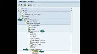 SAP FI - Customer Master Data