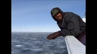 Battle of the Arctic Giants Documentary HD