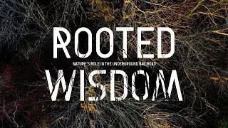 Part 2: Navigation | Rooted Wisdom: Nature&rsquo;s Role in the Underground Railroad