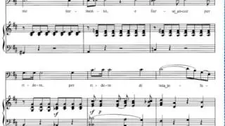 Hai già vinta la causa (Le Nozze di Figaro - W. A. Mozart) Score Animation