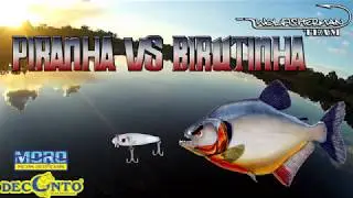 PIRANHA VS BIRUTINHA- MORO DECONTO.