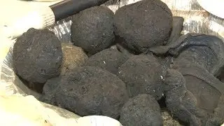Pesquisadores da UFMG usam esterco na produção de biocarvão