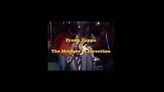 Apostrophe #music #zappa #funkband #rock #guitarsolo