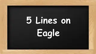 Eagle Short 5 Lines in English || 5 Lines Essay on Eagle