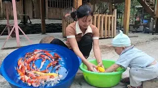 Harvest gourds and bring them to the market to sell, buy fish fingerlings to stock the pond