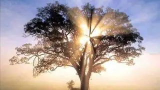 Chimarruts - S&oacute; Pra Brilhar