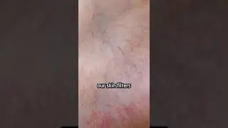 Why do some animals have blue-colored blood.