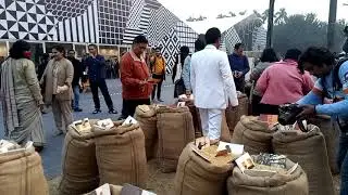 India art fair 2019