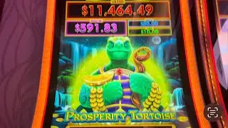 Prosperity Tortoise Letdown!