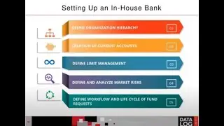A TMS (Treasury Management System) integrated In House Bank for internal financing