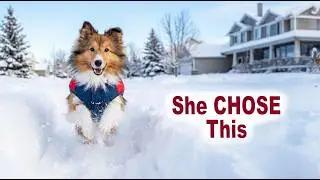 Путь наибольшего сопротивления: Зимняя одержимость Бисквита ❄️🐶 e449