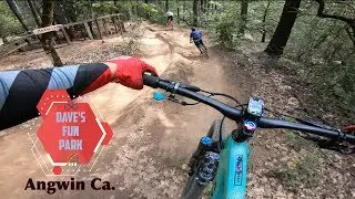 MTB Skills Progression / Practicing Bike Jumps / Dave's Fun Park / PUC Forest A