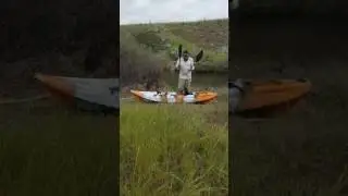 Dragon kayak (tiger)