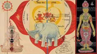 Awakening Your Kundalini Energy| Full System Activation, Jing, Qi, Prana & Kundalini Morphic Field