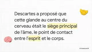Ren&eacute; Descartes  Architecte de l Esprit Moderne