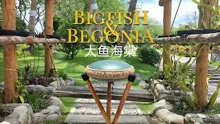 大鱼 Big Fish and Begonia's Theme Song | Tongue Drum Cover by Tyron Marc