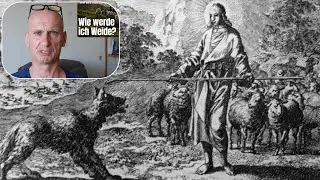 Lieber Wolf als Sch&auml;fer!? | #H&auml;ppchen 1239
