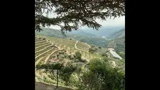 Sommelier Tours Vila Real Portugal 5000-254 (003) 519-17418472 Douro Wine Tour
